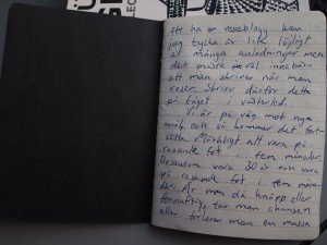 Anteckningar från ett tåg 1.1